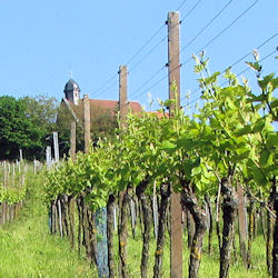 Die Gemarkung Annenäcker liegt etwas unterhalb der St. Anna-Kapelle